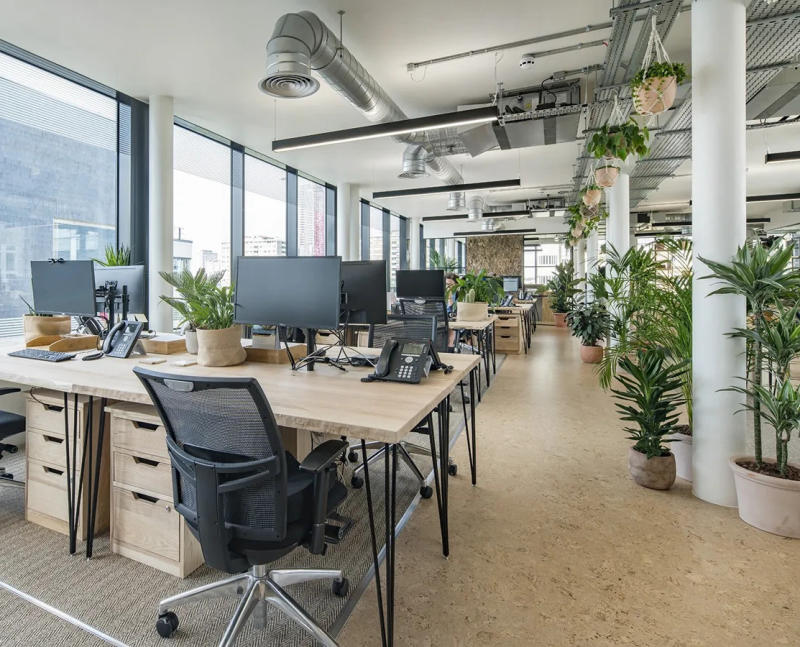 Thiết kế văn phòng nhỏ tràn ngập không gian xanh